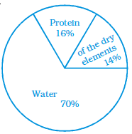 Page 44 Chapter 2 Class 8th NCERT Exemplar Page 44 Chapter 2 Class 8th NCERT Exemplar
